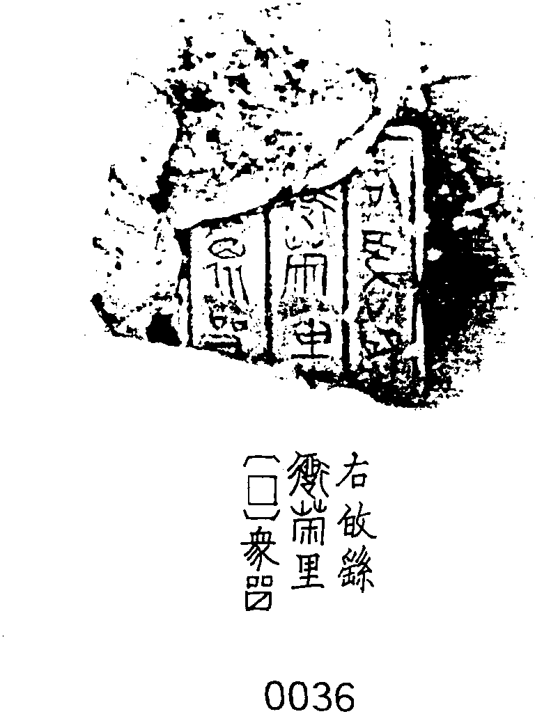 三、右敀